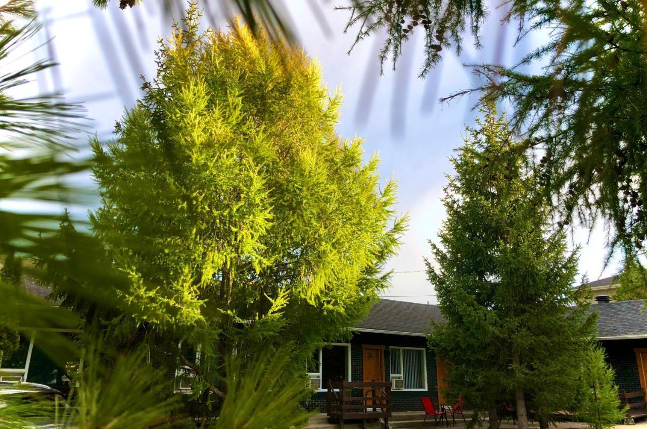 Motel Boutique Hygge Baie-Saint-Paul Dış mekan fotoğraf